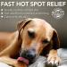 Vets Best Allergy Relief for Dogs - 250ml Spray | Fast-Acting Relief for Itchy Skin & Seasonal Allergies | Shop Internationally - Buy Online on SooperMarket.com