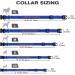 Tagme Personalized Dog Collar for Small Dogs - Embroidered Reflective Nylon with Pet Name & Phone Number - King Blue - 1 Pack - Buy Online on SooperMarket.com