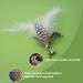 2022 Cat Feather Toy Set - Interactive Kitten Toys with Elastic Wand and Refill Feathers - Indoor Cat Play and Exercise - Buy Online on SooperMarket.com