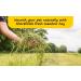 Shorefields Fresh Meadow Hay - Animal Feeding Hay Bale for Rabbits Guinea Pig Horses Hamsters Ponies - Nutritious Grasses & Wildflowers Blend - Green & Dust Free - Buy Online on SooperMarket.com
