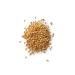 Royal Lee Organics Organic Spelt Berries 10 lbs - Premium Quality, 100% Whole Grain (Pack of 1) - Buy Online on SooperMarket.com