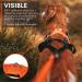Non-stop Dogwear Freemotion Harness 5.0 | Versatile Dog Harness for All Sports | Size 8 Black/Orange - Shop Internationally - Buy Online on SooperMarket.com
