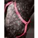 Equi-Flector Shires Breastplate - Pink: Cob/Full - Buy Online on SooperMarket.com