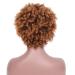SHIYID Short Blonde Curly Synthetic Wig for Women - Heat Resistant Brown Kindy Curly Hair | Perfect African American Hair Solution - Buy Online on SooperMarket.com