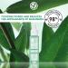 Yves Rocher Rebalancing Antioxidant Serum - Purify & Mattify Oily Skin with Salicylic Acid | 1 FL OZ - International Shipping Available - Buy Online on SooperMarket.com