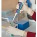 Adenna GLD266 Gold 6 mil Latex Powder Free Exam Gloves - White Large (Box of 100) - Buy Online on SooperMarket.com