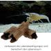 Buy Garpet Aquarium Decoration Cave Tube - Natural Wood Root Aquarium Decor - Buy Online on SooperMarket.com