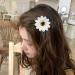 inSowni 25 Pack Hawaiian Wedding Sunflower Daisy Alligator Hair Clips for Women and Girls - Buy Online on SooperMarket.com