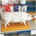 Acupuncture Pig Model Veterinary Acupuncture Animal Anatomy Model Medical Training Aid - Buy Online on SooperMarket.com