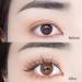 DAODER 6mm Bottom Lashes Extension Kit with Glue & Applicator - 200pcs (Fairy Bottom Lashes) - Buy Online on SooperMarket.com