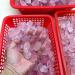 50G Natural Raw Pink Rose Quartz Crystal Rough Stone Specimen Crystal Love Natural Stones and Minerals Fish Tank Stone crystal stone - Buy Online on SooperMarket.com