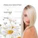 Nirvel Camomile Shampoo - Nourishing Hair Care for All Hair Types | International Shipping - Buy Online on SooperMarket.com