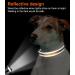 Joytale Reflective Dog Collar for Puppies - XS Brown | Premium Quality Pack of 1 - Buy Online on SooperMarket.com