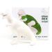 GR Gift Republic Chia-Saurus | Dino Planter with Chia Seeds | Unique Indoor Planters for Kids & Adults | Fun Gardening Gifts - Buy Online on SooperMarket.com