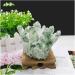 Stone Crafts Green Ghost Phantom Quartz Crystal Cluster Specimen kaixun (Size : 500-600g) - Buy Online on SooperMarket.com