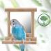 2Pcs Parrot Hanging Swing Mirror Fun Wooden Parrot Mirror Hanging Wooden Bird Mirror Toy Parrot Toy Budgie Mirror for Small Birds - Buy Online on SooperMarket.com