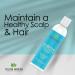Taliah Waajid Scalp Care Follicle Therapy Shampoo | Natural Treatment for Thinning Hair & Hair Loss | Wild Sea Moss Rosemary & Aloe | 8oz - Buy Online on SooperMarket.com