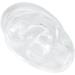 High-Quality Silicone Human Right Ear Model for Ear Sewing Practice - Waterproof Transparent Large Base - Buy Online on SooperMarket.com