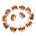Fityle 12 pieces resin mini hair clip set hair clip hair gripper hair claws hair clip hair claw clip hair accessories coffee
