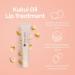 Hanalei Lip Treatment Bundle - Clear & Mauve Pink | Infused with Kukui Oil, Shea Butter, Agave & Grapeseed Oil for Dry Lips (Cruelty-Free & Paraben-Free) - Buy Online on SooperMarket.com