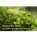 Premium Ceremonial Grade Matcha Green Tea Powder | Delicate Rich Flavor | Kyoto, Japan | 30g Sealed Tin - Buy Online on SooperMarket.com