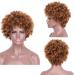 SHIYID Short Blonde Curly Synthetic Wig for Women - Heat Resistant Brown Kindy Curly Hair | Perfect African American Hair Solution - Buy Online on SooperMarket.com