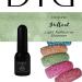 Didier Lab - Premium UV Gel Nail Polish - Brillant No. 16- Gel Nail Varnish - Nail Art - Long-Lasting High Gloss Wear - Green Gel Nail Polish - Gel Nails - Glitter Gel Nail Polish - Rich Pigment - Buy Online on SooperMarket.com