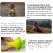 Laroo LED Flashing Safety Lights for Dogs & Cats - Rechargeable Turn Signal for Walks & Outdoor Sports (Green) - Buy Online on SooperMarket.com