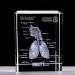 Model of The Human Respiratory System 3D Carved Crystal Medical aids - Buy Online on SooperMarket.com