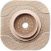 New Image CeraPlus 2-Piece Cut-to-Fit Tape Border Barrier - Opening 2-1/4 | Extended Wear | 5011204BX - Buy Online on SooperMarket.com