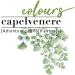 Helan Capelvenere Colours Permanent Natural Hair Colour Nuance N6.1 Dark Ash Blonde - Easy Application Kit Odourless Excellent Coverage - Ammonia and Alcohol Free Hair Colour 125 ml - Buy Online on SooperMarket.com
