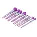 Soft Lightweight Portable Purple Makeup Brush Set - 10 Pcs Blush & Eyeshadow - Skin Friendly Cosmetics for Daily Use - International Shipping Available - Buy Online on SooperMarket.com