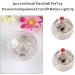 3 Pcs LED Flashing Balls Light Up Cat Dog Balls Flashing Elastic Ball Pet Color Light Play Jumping Interactive Ball Interactive Toys Pet Color Light Ball Interactive Toys for Cats Dogs(Clear) - Buy Online on SooperMarket.com