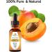 100% Pure Organic Apricot Kernel Oil - Cold-Pressed 2 oz from Turkey | Ideal for Massage Skincare Hair & Aromatherapy - Buy Online on SooperMarket.com
