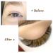 QUEWEL Easy Fan Brown Volume Lash Extensions 0.07 D 9-16mm | Self Fanning 2D-10D Volume Eyelash Extensions - Buy Online on SooperMarket.com