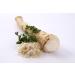 Horseradish | Horseradish | Horseradish - Fresh sticks - washed per kilo