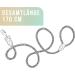 Premium 1.7m Dog Leash for Large Dogs - Durable Braided Training Rope | Sage Green - Buy Online on SooperMarket.com