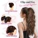 REECHO 26 Long Beach Wave Ponytail Extension - Ash Brown with Platium Highlights | Synthetic Drawstring Hairpiece for Women - Buy Online on SooperMarket.com