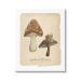 Stupell Industries Woodland Mushrooms & Snail Canvas Wall Art by Carol Robinson 24 x 30