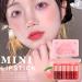 Buy 6 Colors Peach Lip Tint Mini Liquid Lipstick | Moisturizing Plumping Multi-Use Lip & Cheek Tint | Non-Sticky Transfer-Proof Matte Finish | International Shipping Available - Buy Online on SooperMarket.com