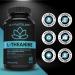 L-Theanine 250MG Capsules - For Stress Management & Relaxation - Promotes Focus Alertness & Clarity - L Theanine Supplement for Stress Relief - 250 mg per capsule - 60 Capsules 60 count (Pack of 1) - Buy Online on SooperMarket.com