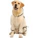 Olsa Dog Raincoat with Reflective Stripe | Waterproof Dog Hooded Slicker Poncho | 4 Legs Rain Jacket for Small, Medium, Large Dogs - Buy Online on SooperMarket.com