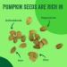 Raw Pumpkin Seeds (Papitas) 32 oz (2 lb) - Non-GMO | Preservative-Free | Resealable Bag | Premium Grade - Buy Online on SooperMarket.com