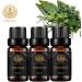 Aromatherapy Vanilla Essential Oil Set for Air Freshener 100% Pure Vanilla Essential Oils Scent Set for Diffuser 3x10ml 100% Pure Vanilla Essential Oils Fragrance Set for Candles & Soaps Making Vanilla 0.33 ml (Pack of 3) - Buy Online on SooperMarket.com