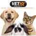 VETIQ Healthy Bites Small Animals Variety Pack 4x30g For Hamster Guinea Pig & Rabbit Treats Odour control Nutrition booster immune system care calming remedy dental care with no preservatives 30 g (Pack of 4) Variety Pack 4x30g - Buy Online on SooperMarket.com