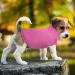 Pink Dog Fleece Vest with Turtleneck for Small Medium Dogs - Winter Jacket with Leash Hole - Buy Online on SooperMarket.com