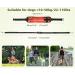 Pecute Jogging Leash for Dogs - Elastic Running Leash with Belly Belt for Large & Medium Dogs Includes Belt Bag Supports Up to 100kg - Perfect for Running & Jogging - Buy Online on SooperMarket.com