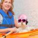 Xuniea 2 Pieces Small Dog Helmet and Goggles Puppy Sunglasses UV Protection PET Helmet with Adjustable Belt Dog Motorcycle Hard Safety Hat for Doggie Windproof Glasses Small Dog Cycling Riding(Pink) - Buy Online on SooperMarket.com