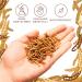 Buy Dried Flourworms 2kg - Protein-Rich Snack for Wild Birds Fish Reptiles & Rodents | International Shipping - Buy Online on SooperMarket.com