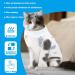 WLLHYF Cat Surgery Recovery Suit Breathable Kitten Onesie Full Bodysuit Clothes Post Neuter Surgery Spay Cone Anti Licking Abdominal Wound Protector for Small Male Female Pets (Medium) - Buy Online on SooperMarket.com